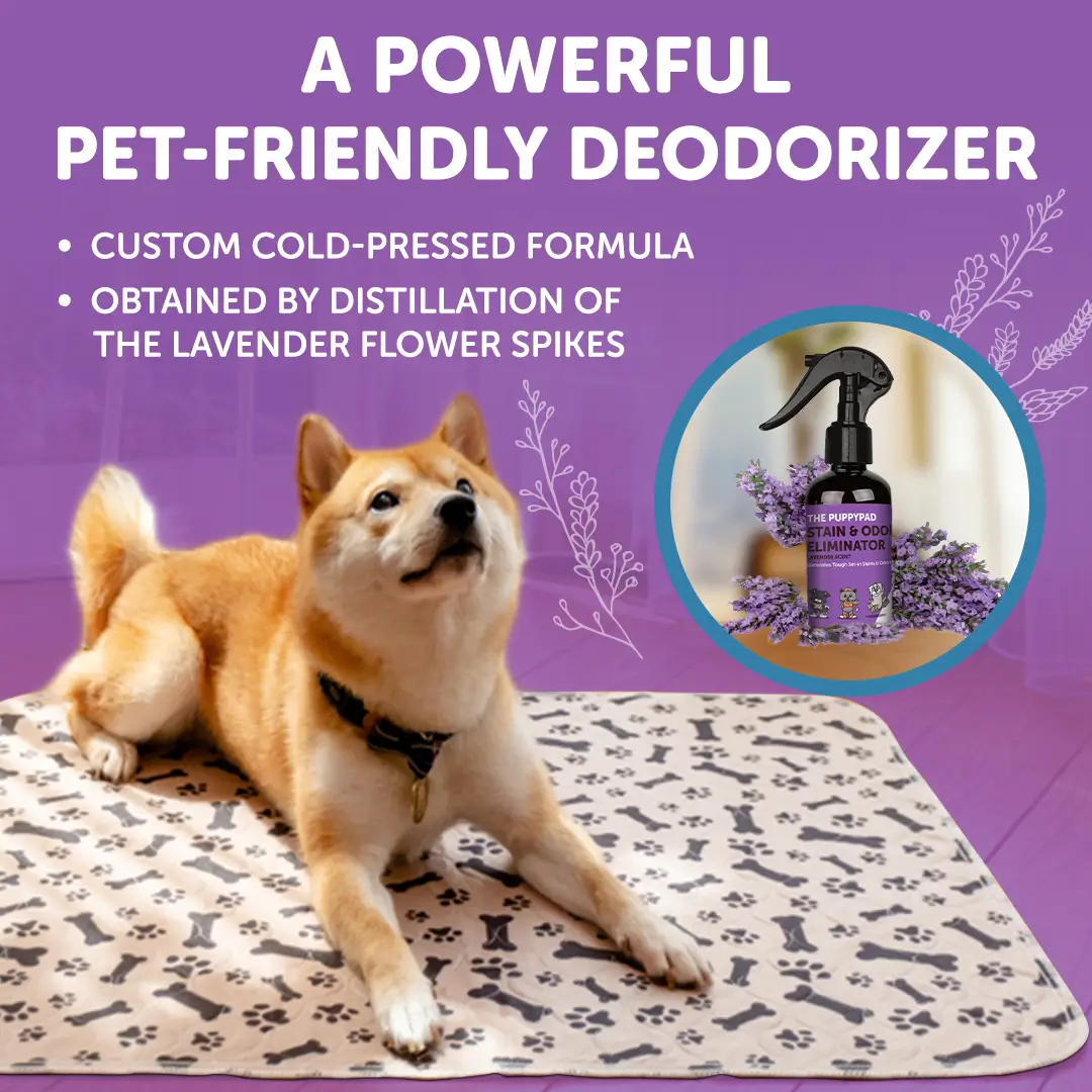 PuppyPad Stain & Odor Eliminator Spray - Image 6